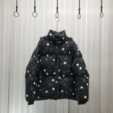 Louis Vuitton Down Jackets